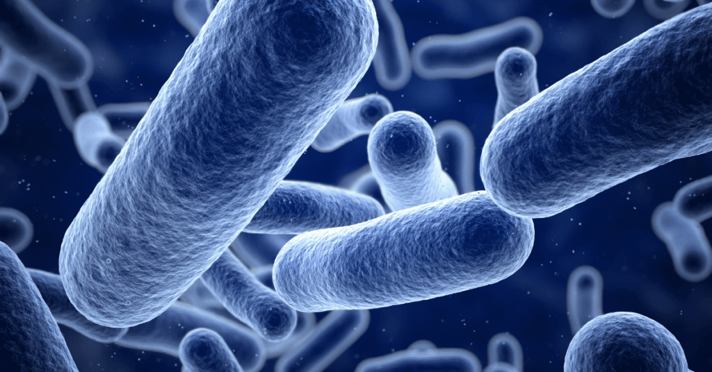 a close up of a group of bacteria on a blue background