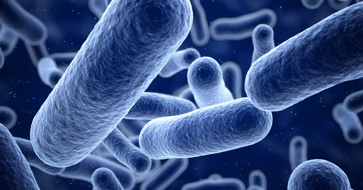 a close up of a group of bacteria on a blue background