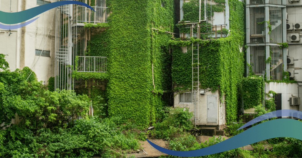 An abandoned building is overgrown with lush green ivy and other vegetation, with a spiral staircase visible on the side.