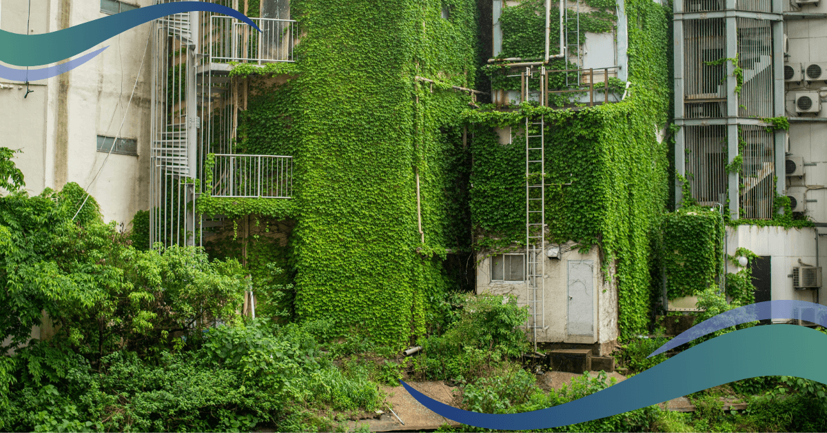 An abandoned building is overgrown with lush green ivy and other vegetation, with a spiral staircase visible on the side.